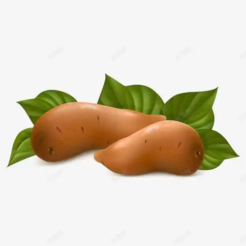 甲减比较快恢复方法